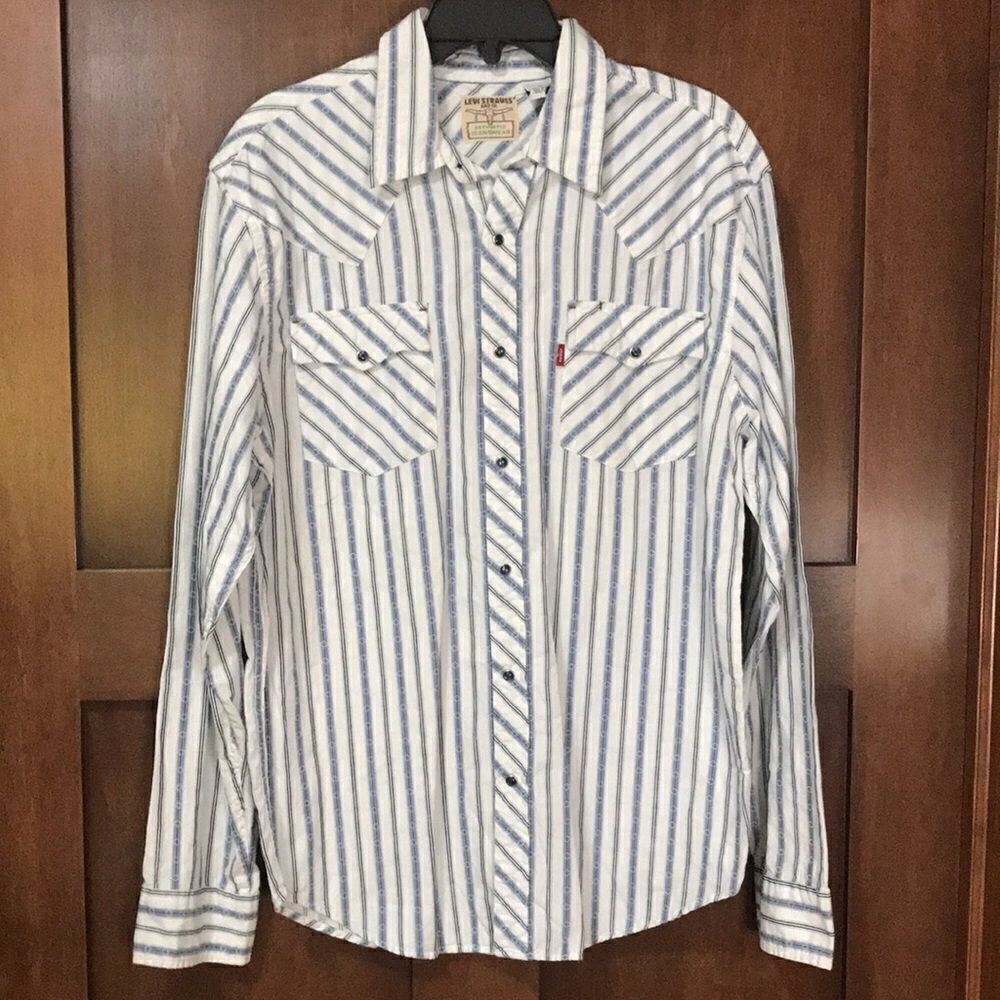 Levi Strauss and Co. Men's Casual Button-down Shirt, Large, Multi-colored